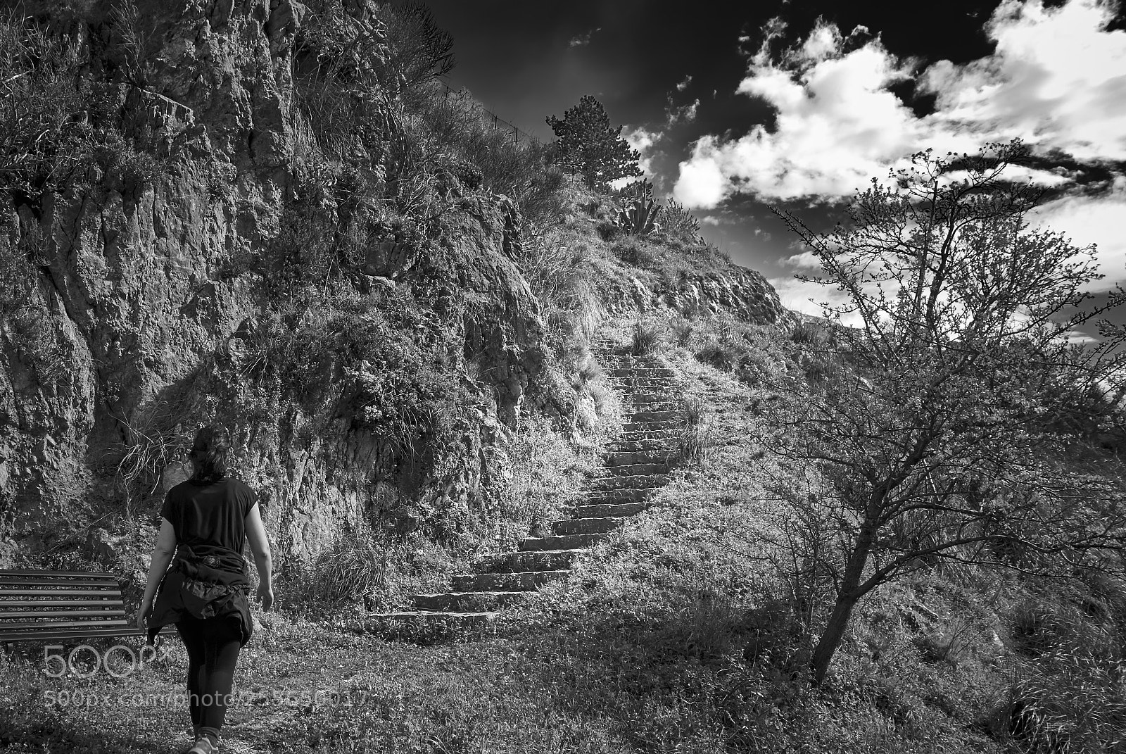 Sony Cyber-shot DSC-RX100 sample photo. Stairway to heaven photography