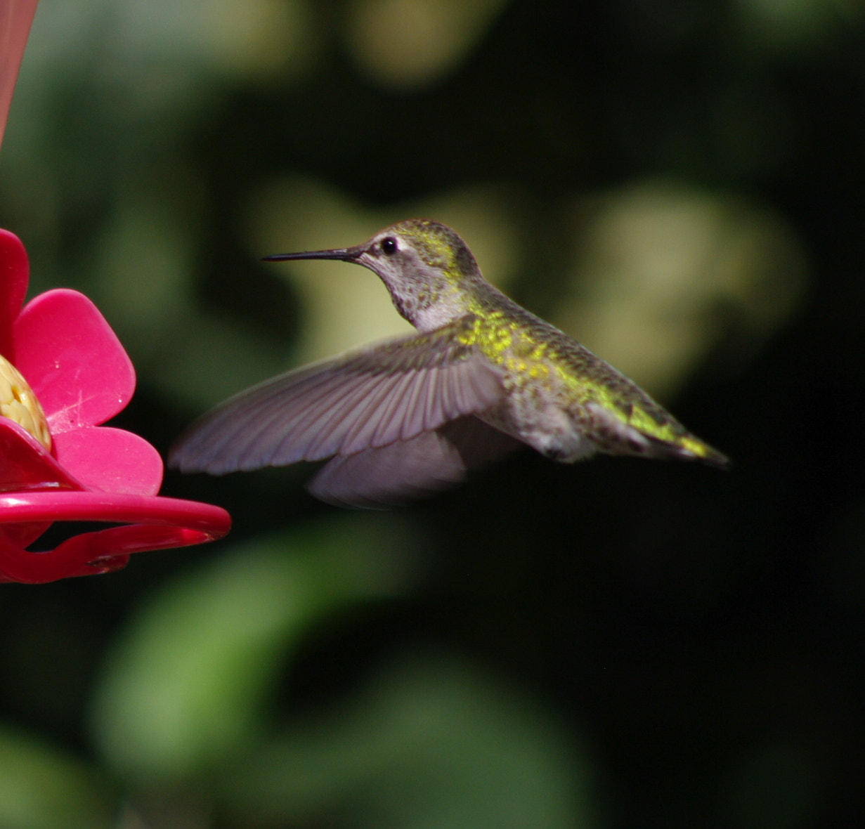 smc PENTAX-DA L 55-300mm F4-5.8 ED sample photo. 076.jpg photography