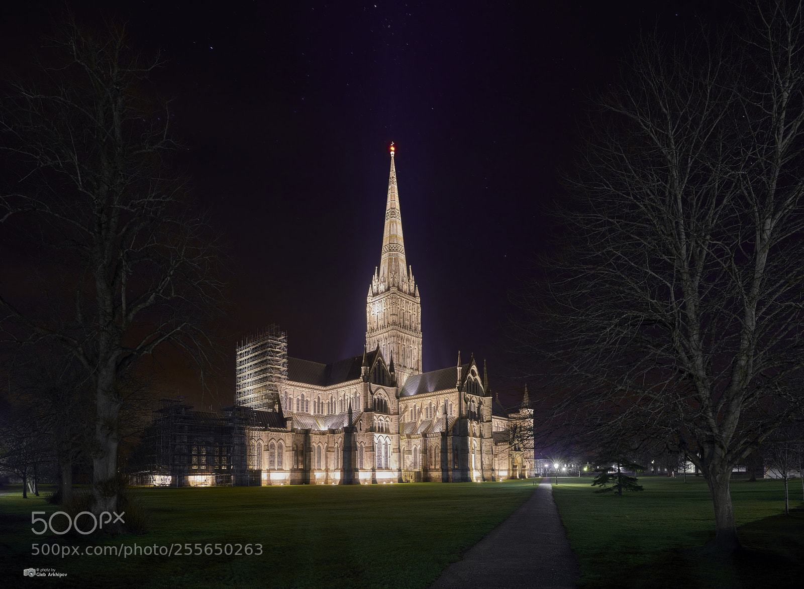 Nikon D800E sample photo. Salisbury cathedral photography