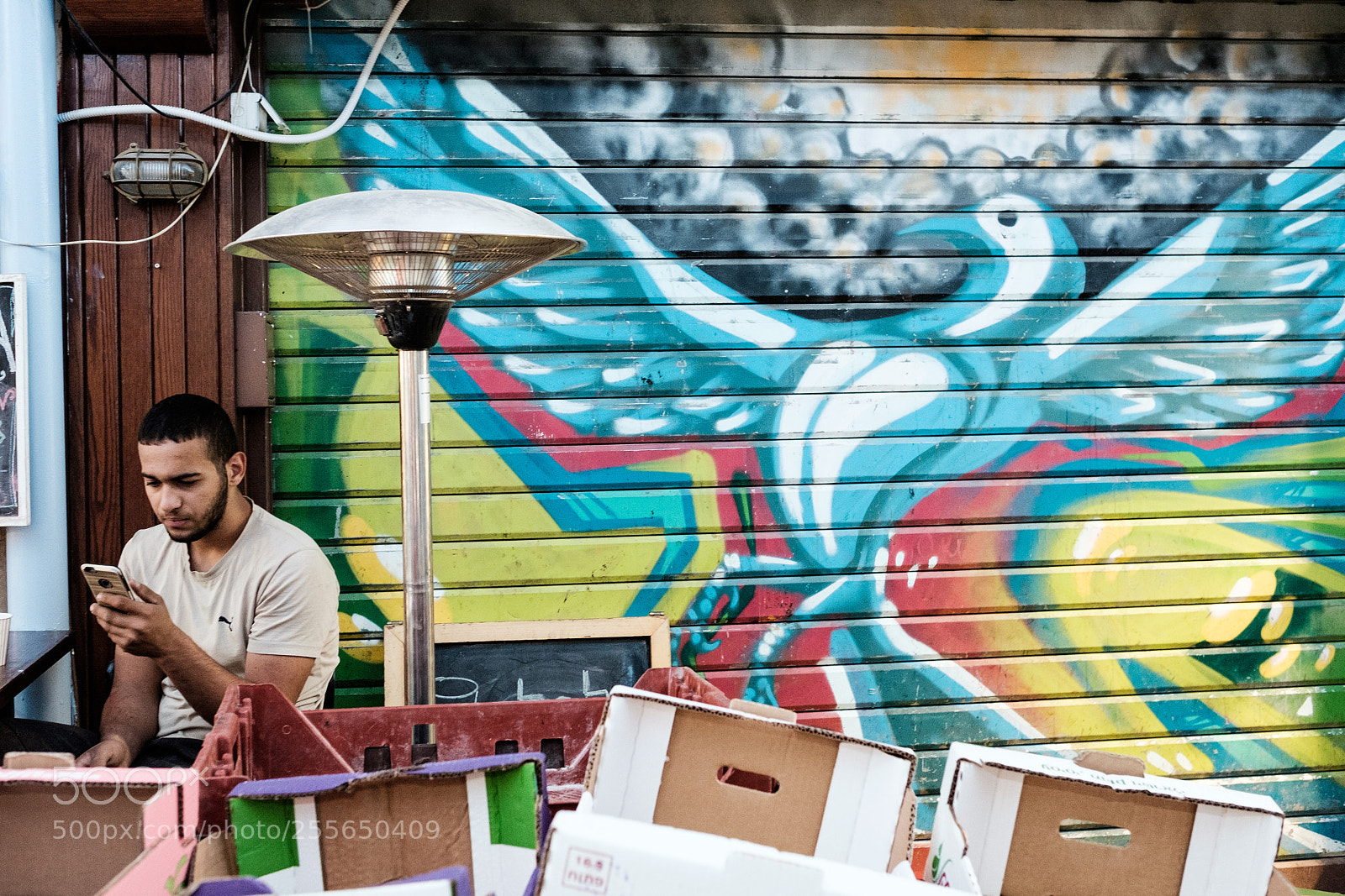 Fujifilm X-T1 sample photo. Where are you photography