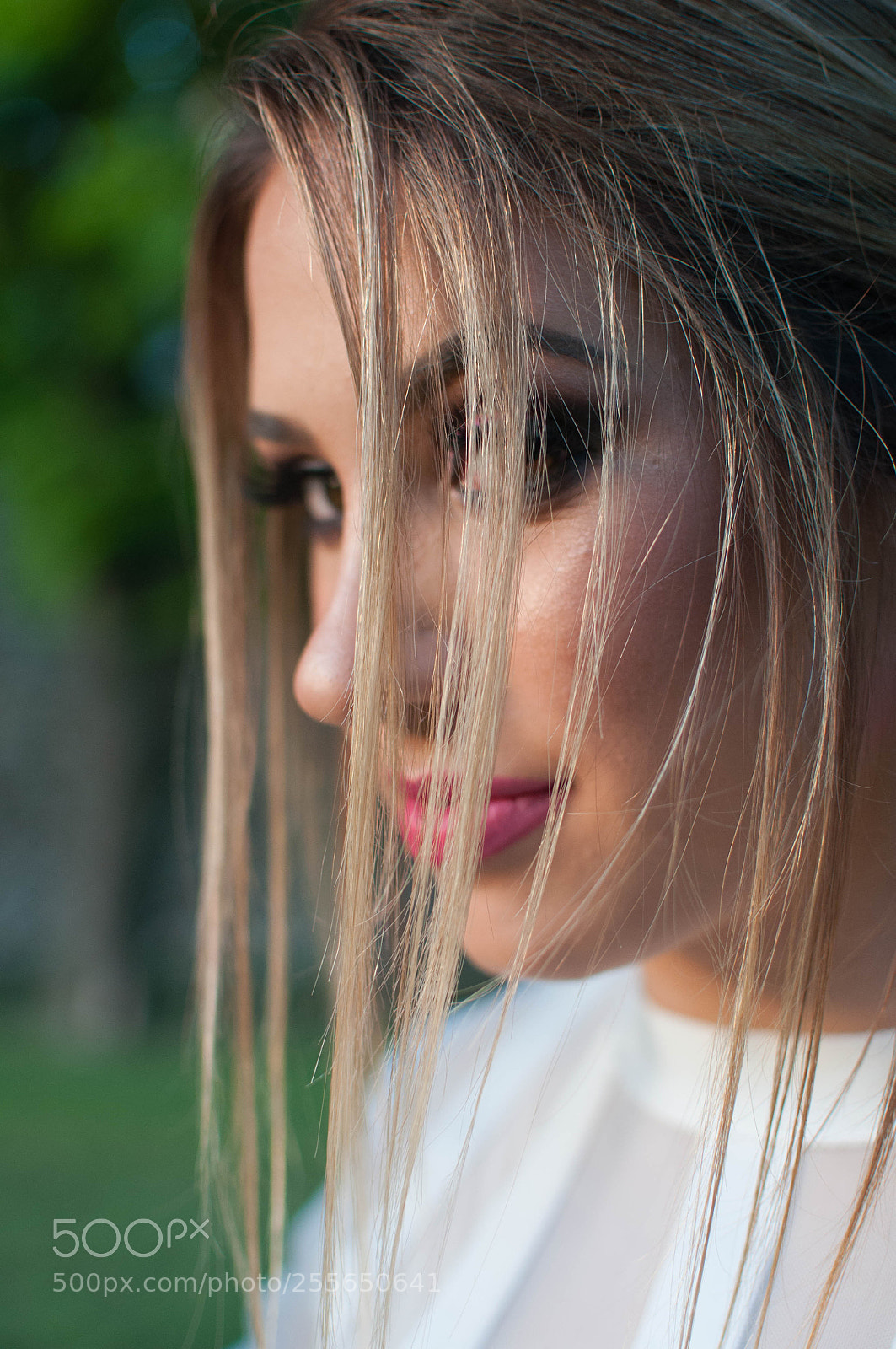 Nikon D5000 sample photo. Lurking photography