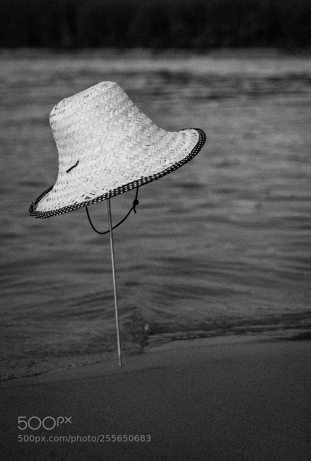 Canon EOS 70D sample photo. Untitled photography