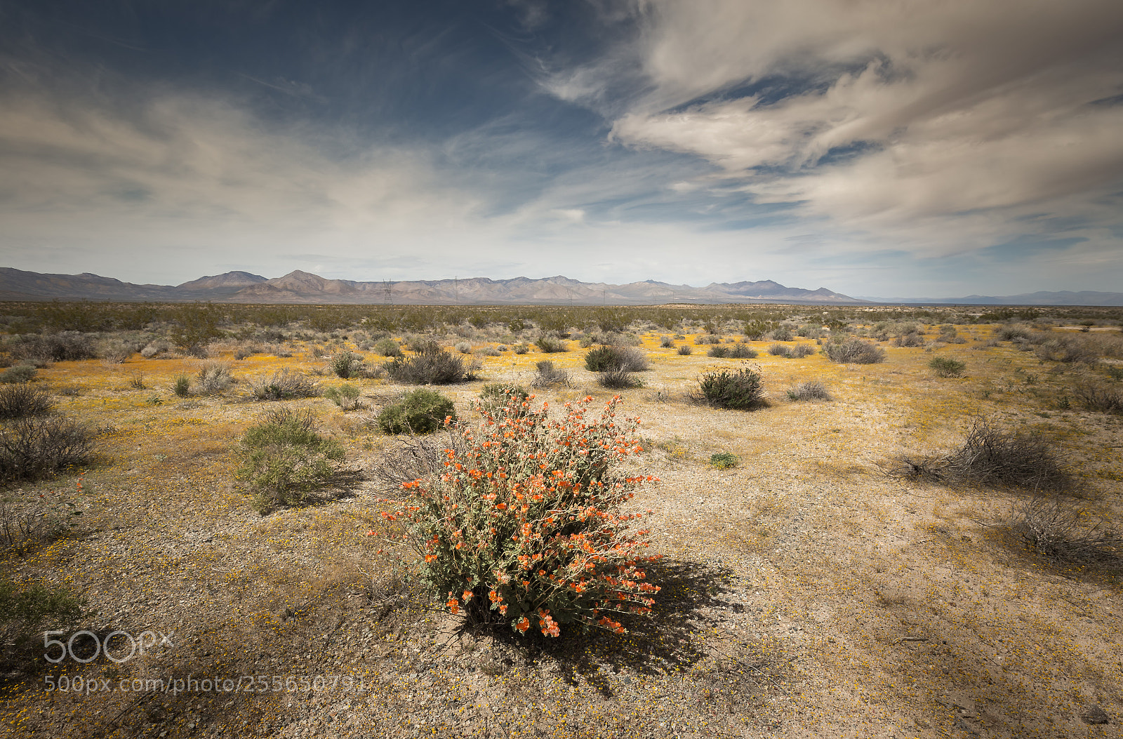 Canon EOS 6D sample photo. Ventura, ca photography
