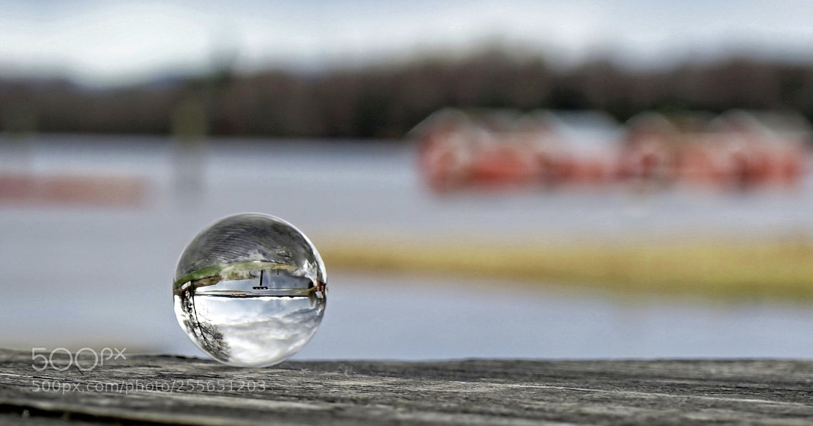 Sony a7 II sample photo. No name photography