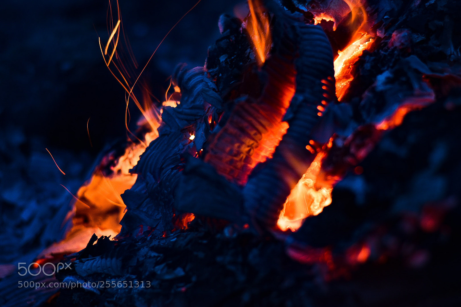 Nikon D5600 sample photo. Fire photography