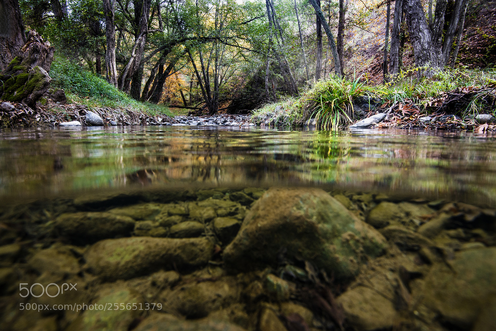 Nikon D800E sample photo. The magic river photography