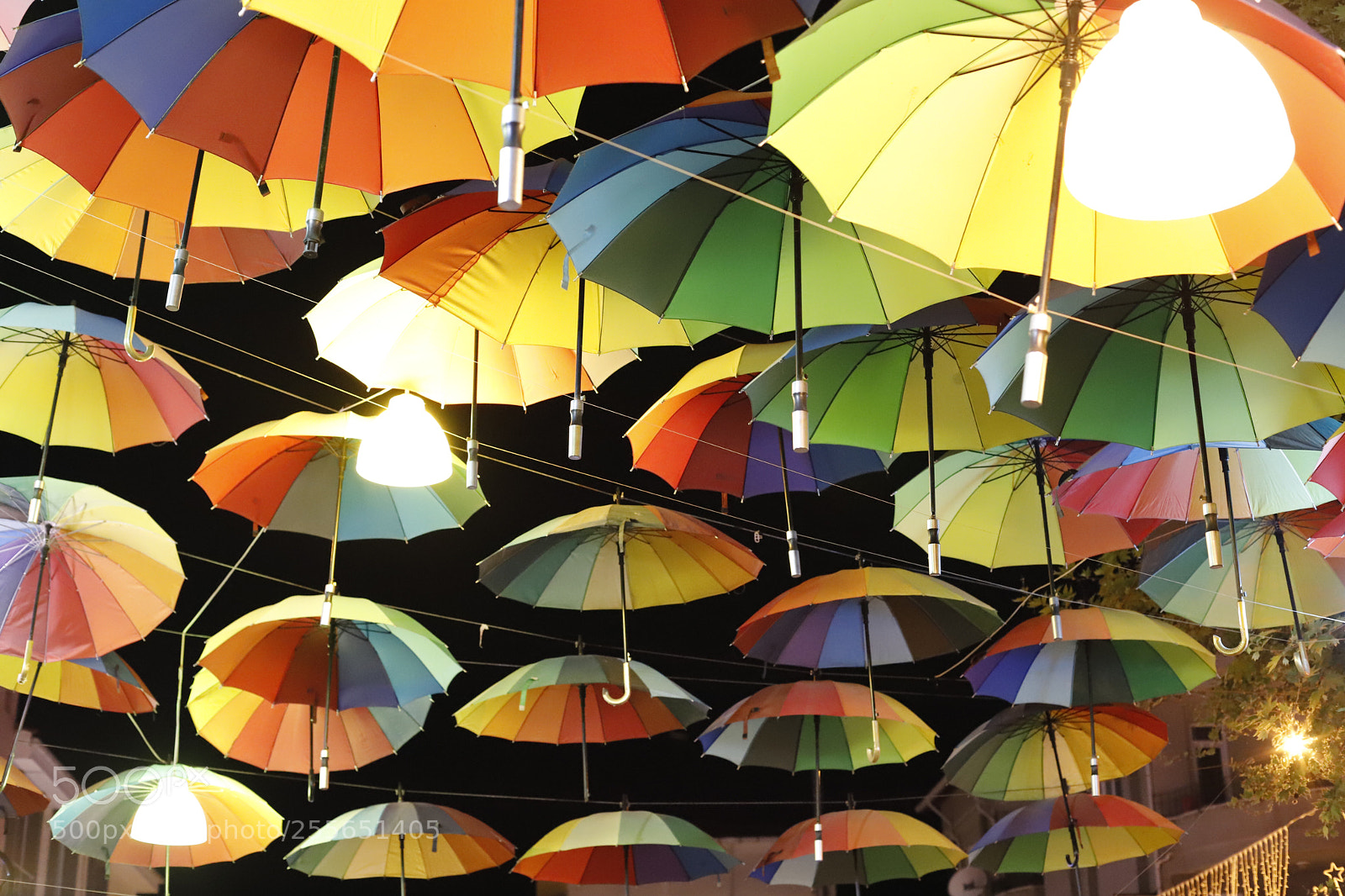 Canon EOS 6D Mark II sample photo. Umbrella photography