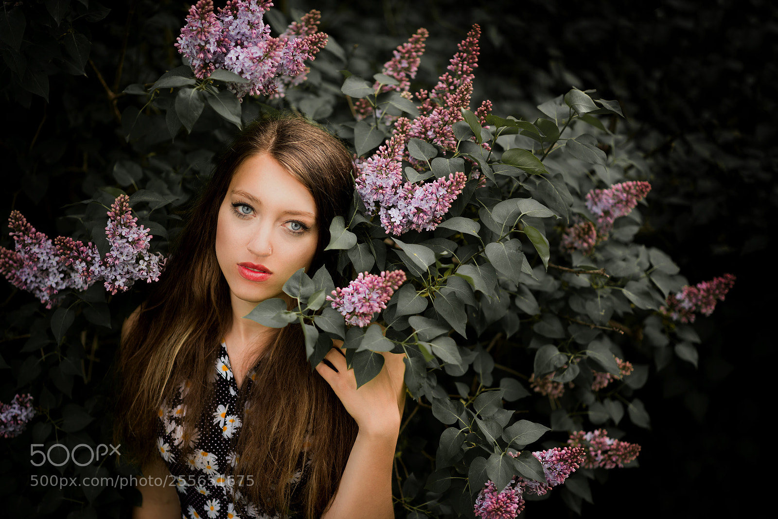 Nikon D800 sample photo. Miriam beauty portrait photography