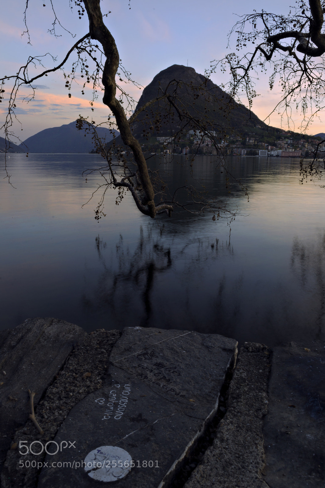 Nikon D3100 sample photo. Branches photography