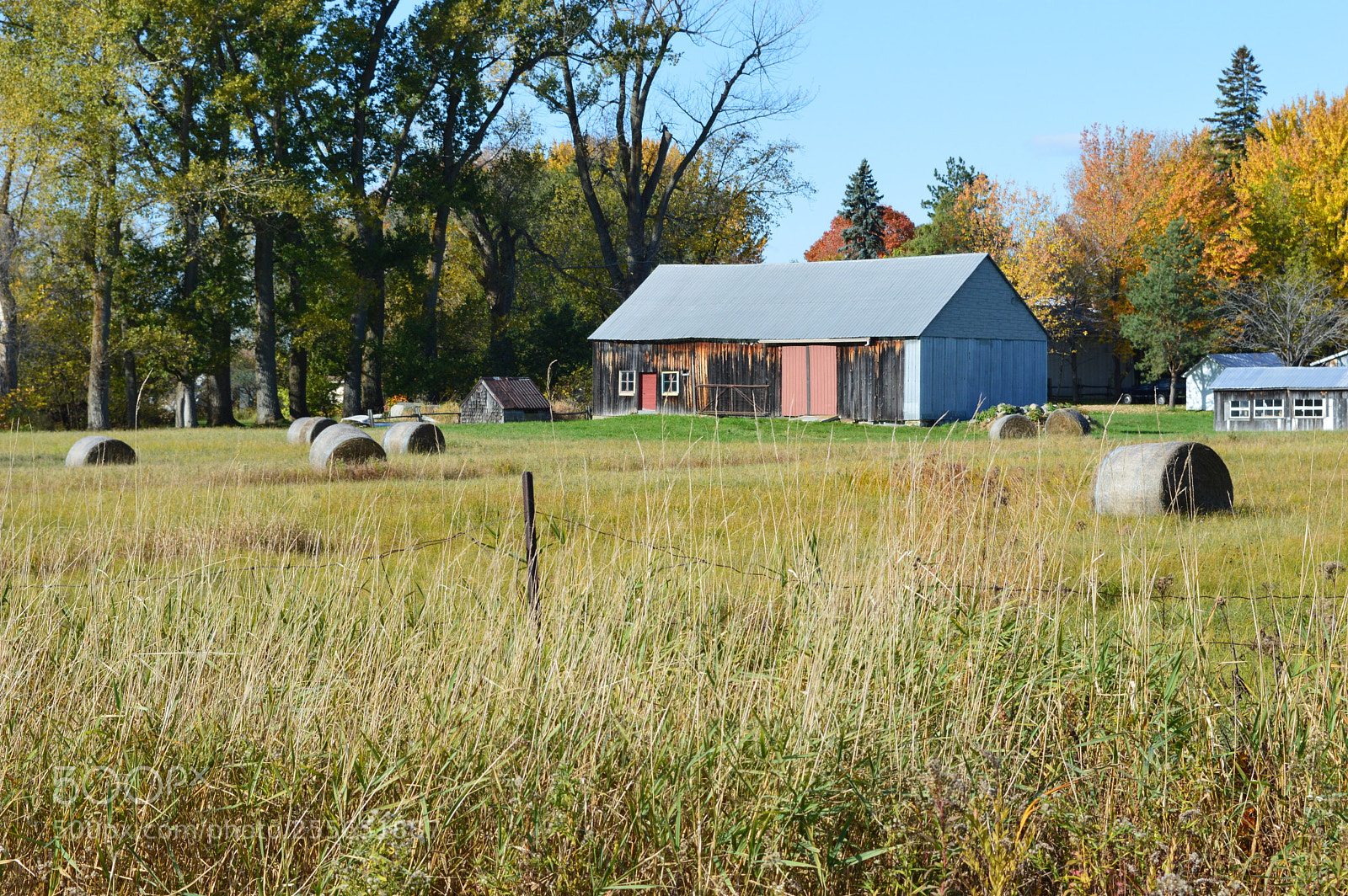 Nikon D3200 sample photo. Grange photography