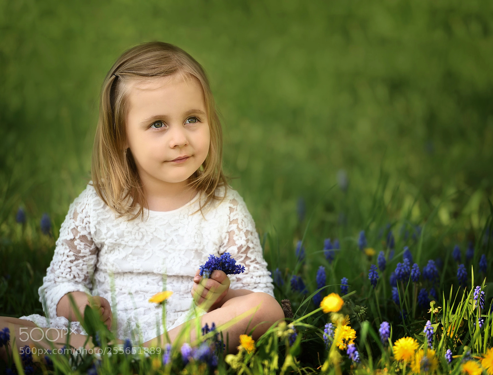 Nikon D810 sample photo. Charlotte photography