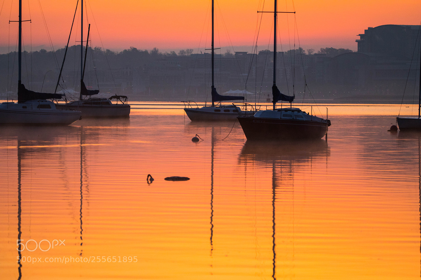Canon EOS 5D Mark IV sample photo. Palcid dawn photography