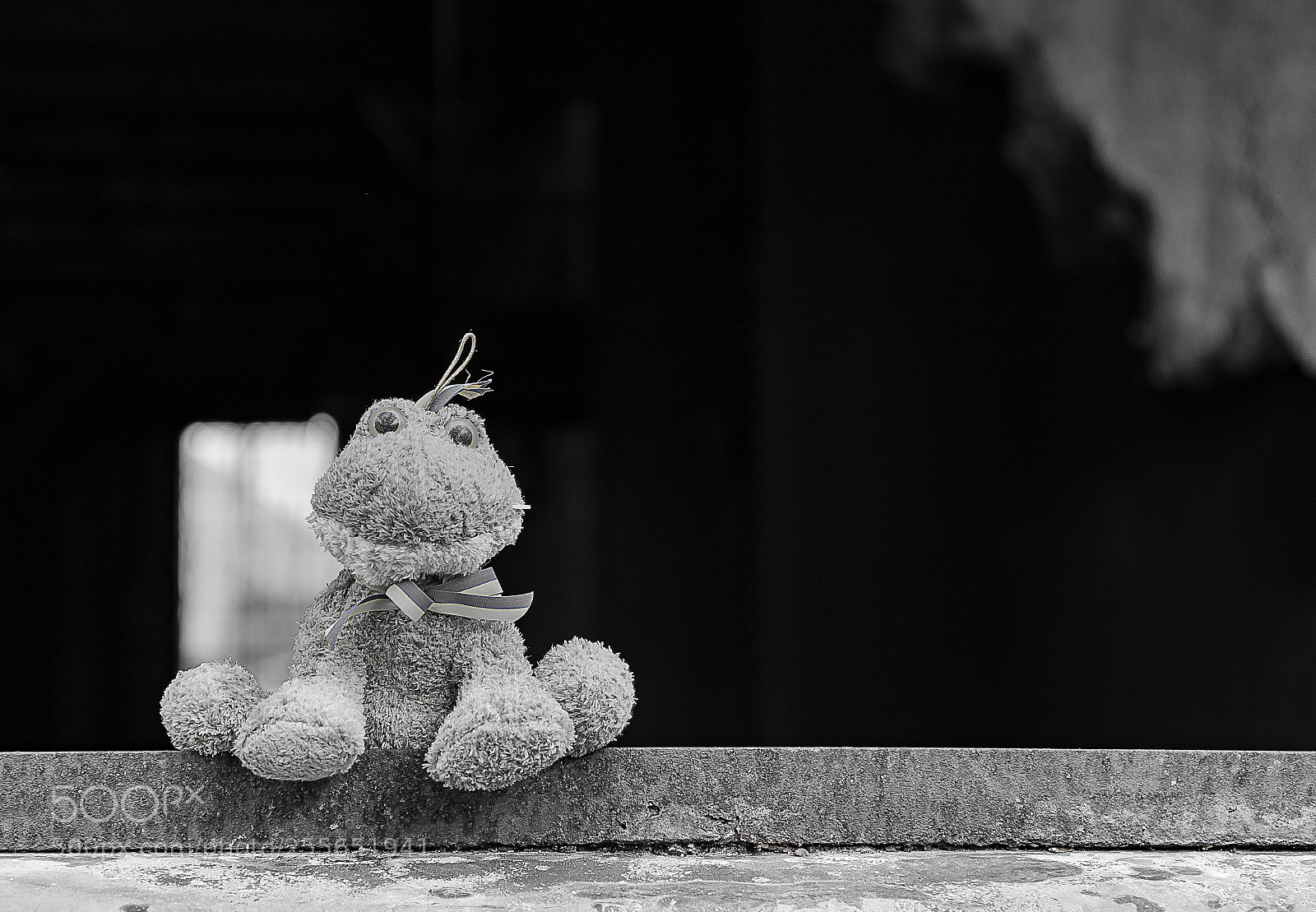 Canon EOS 7D Mark II sample photo. Kermit photography