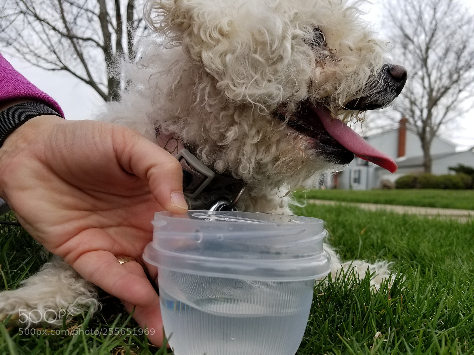 Samsung Galaxy S8+ sample photo. Drink water :) photography