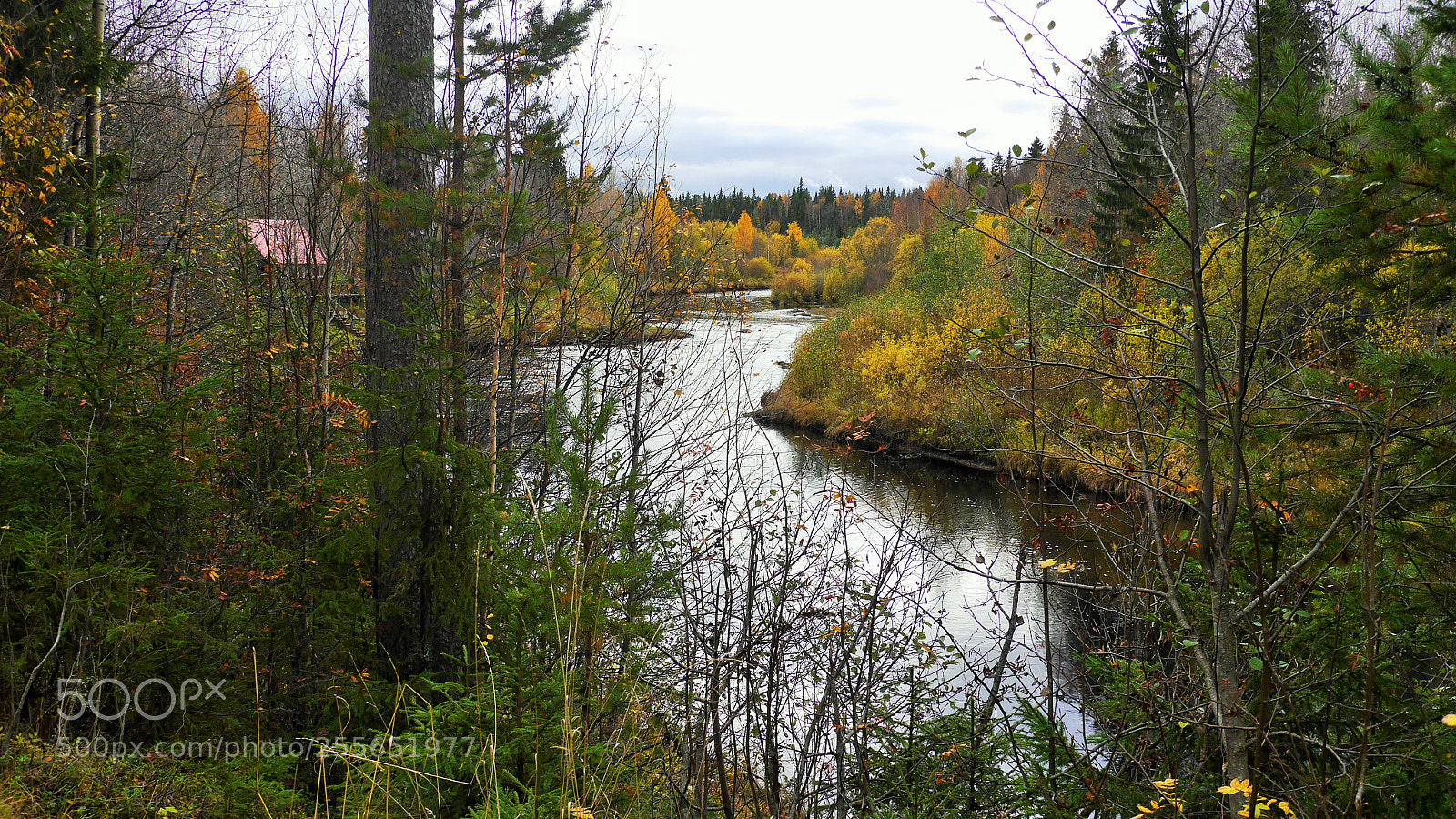 Panasonic Lumix DMC-G6 sample photo. Winding river photography