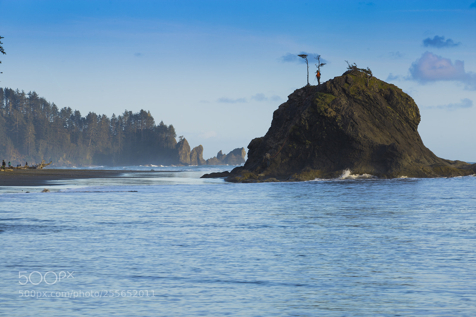 Canon EOS 6D sample photo. Morning blue light photography