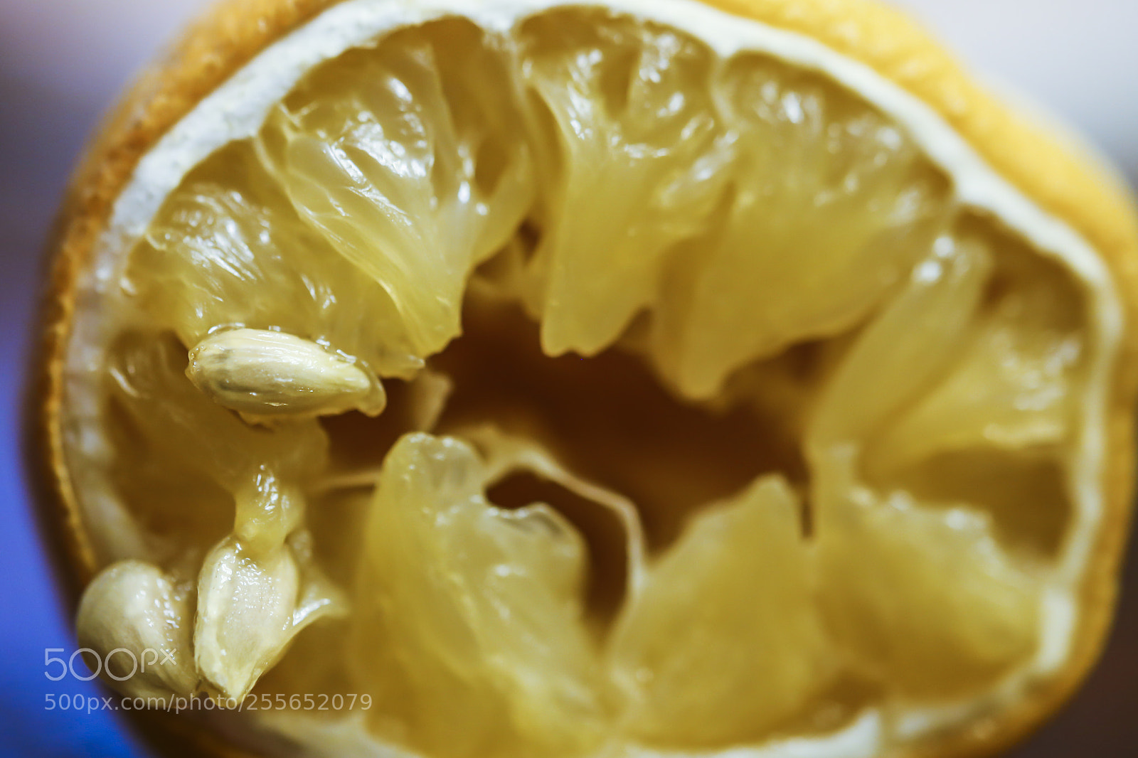 Canon EOS 6D sample photo. Squeezed lemon photography