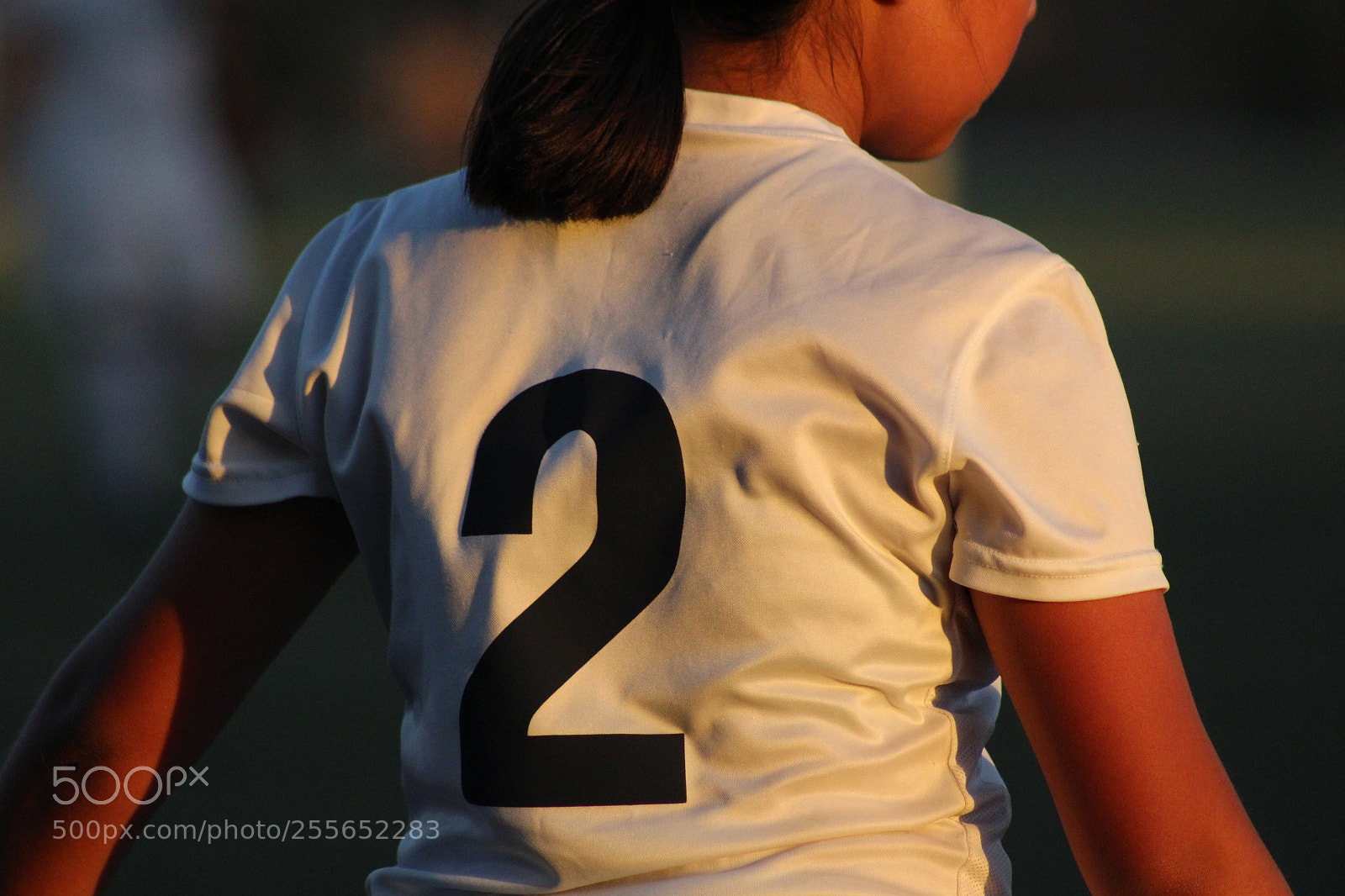 Canon EF 75-300mm f/4-5.6 sample photo. Img photography