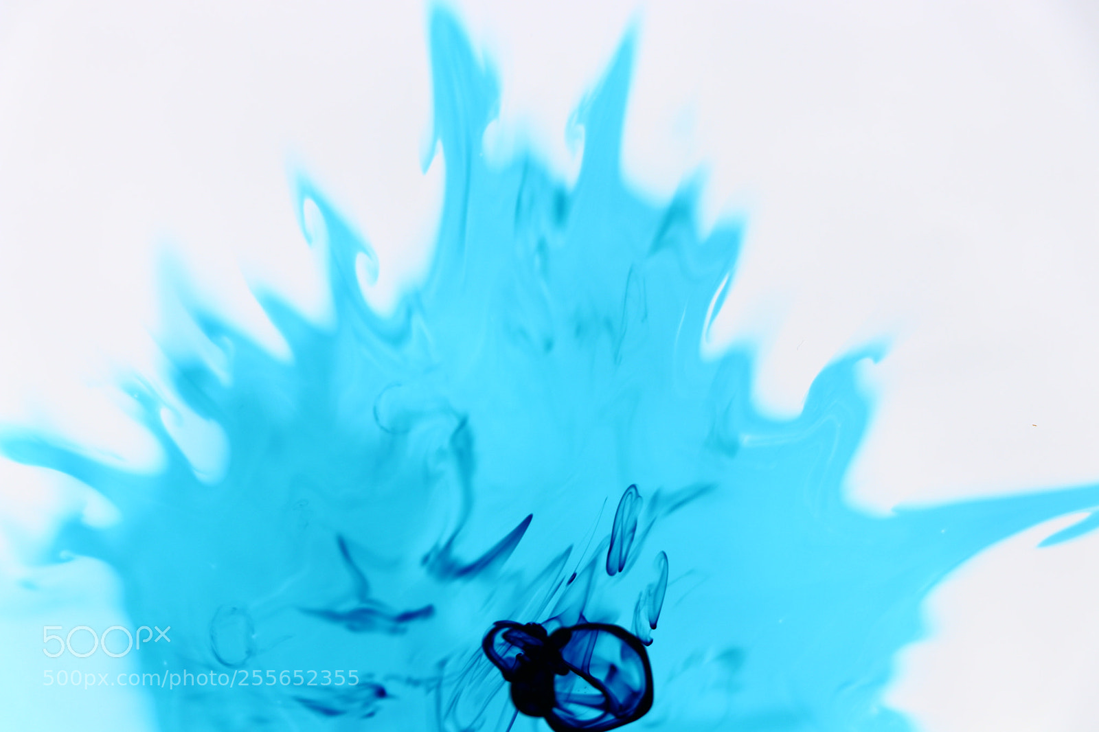 Canon EOS 80D sample photo. Colors blue dye in photography