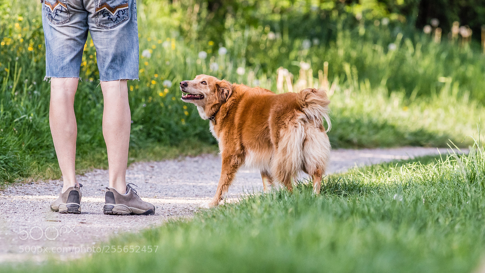 Canon EOS 6D sample photo. Friendship photography
