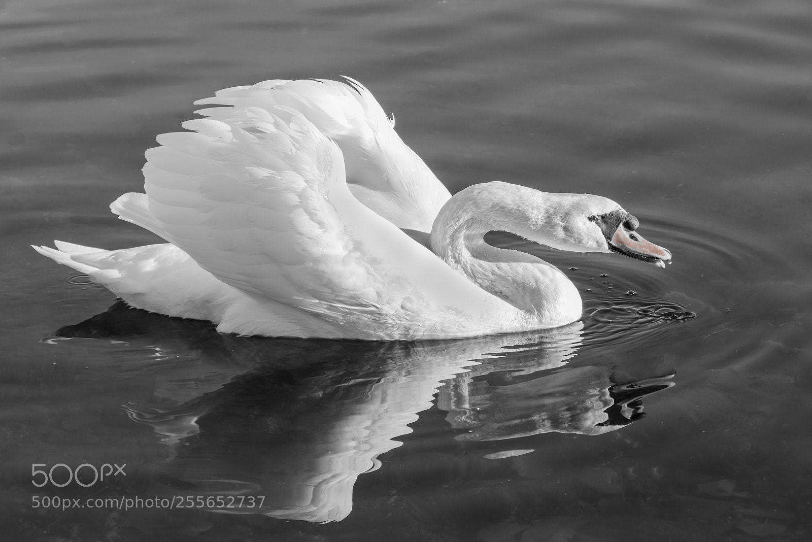 Canon EOS 80D sample photo. Untitled photography