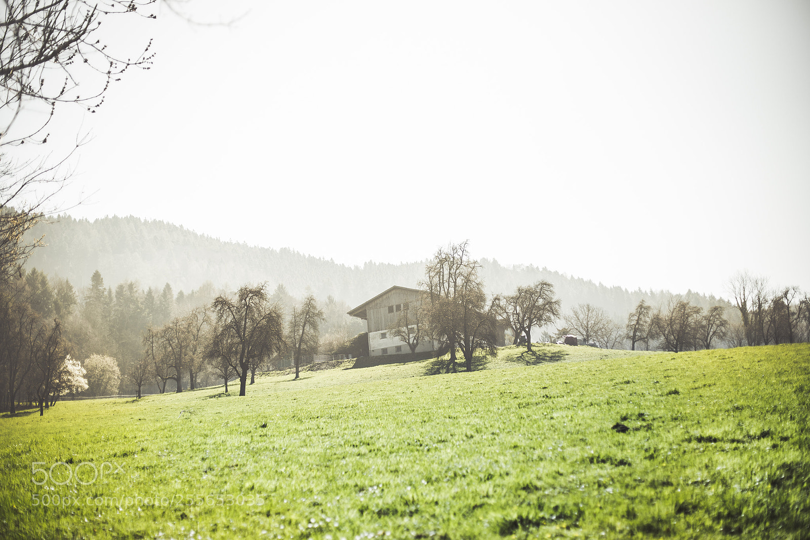 Canon EOS 6D sample photo. House at hill photography