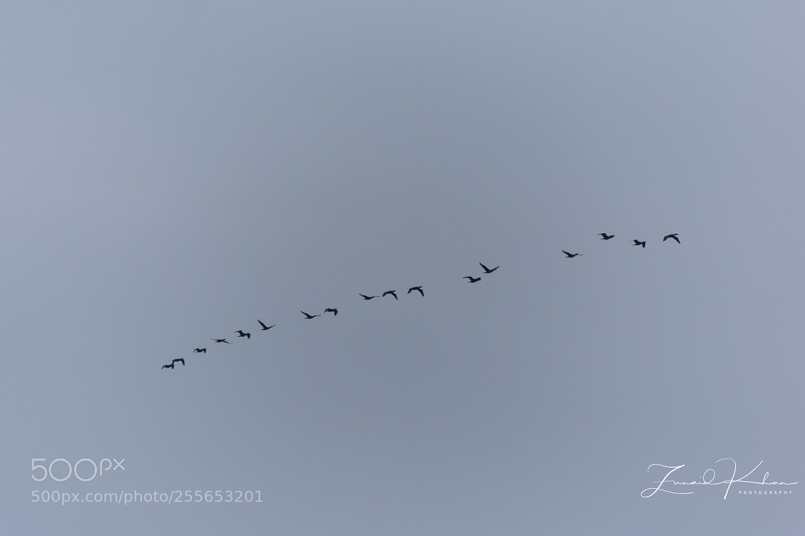 Nikon D3400 sample photo. Formation  photography