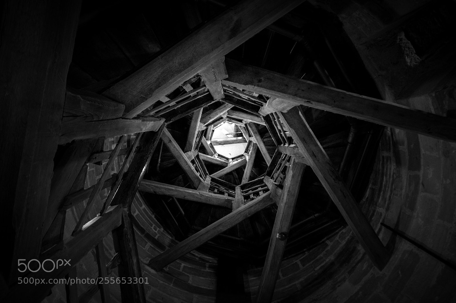 Nikon D5300 sample photo. Look up! photography