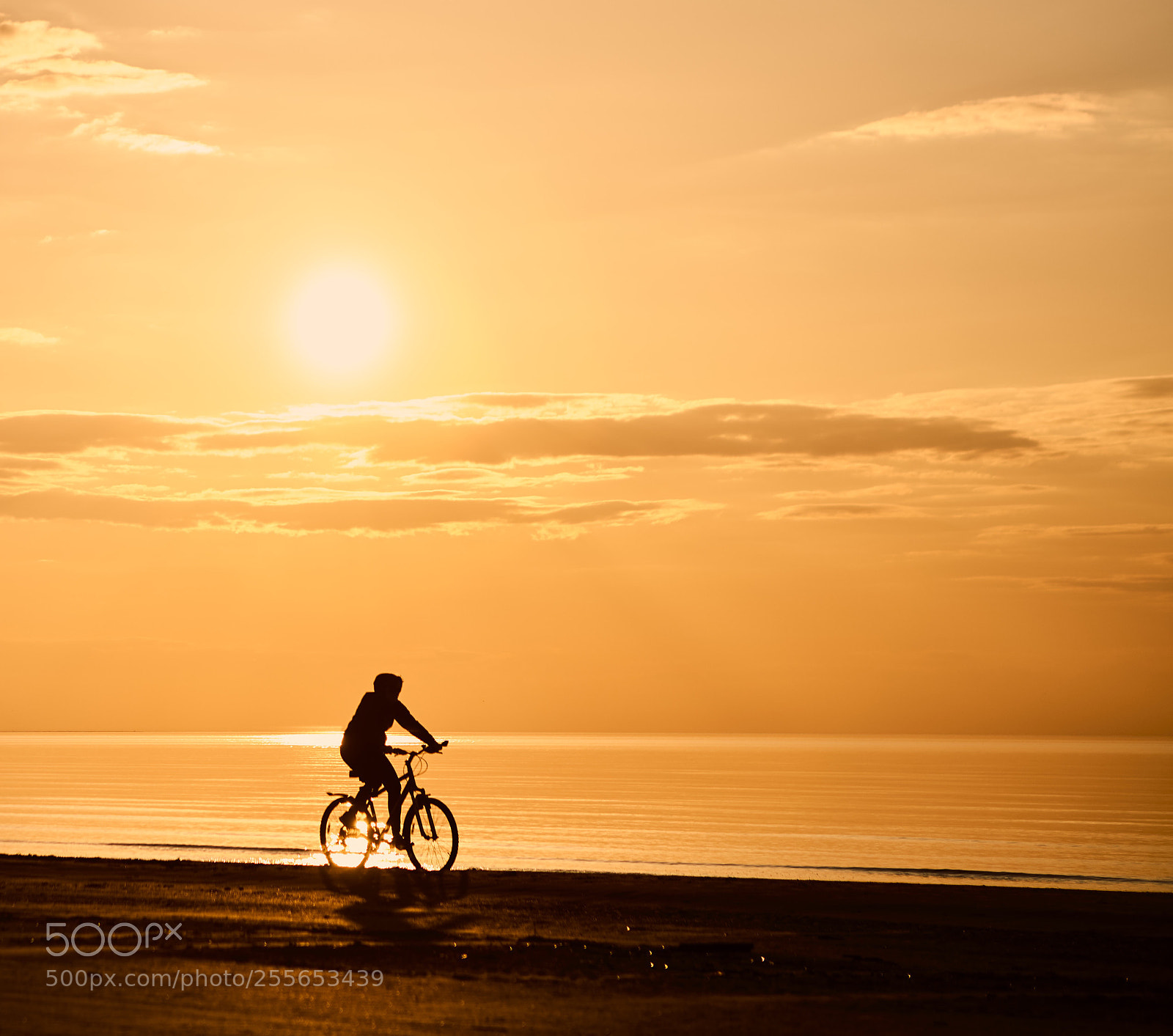 Sony a7R III sample photo. Sunset cycling. photography