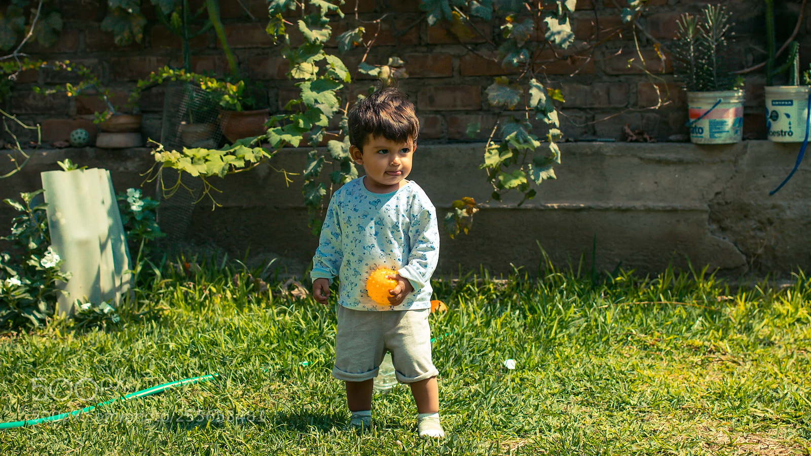 Canon EOS 600D (Rebel EOS T3i / EOS Kiss X5) sample photo. Mi hijo vasco caricchio photography