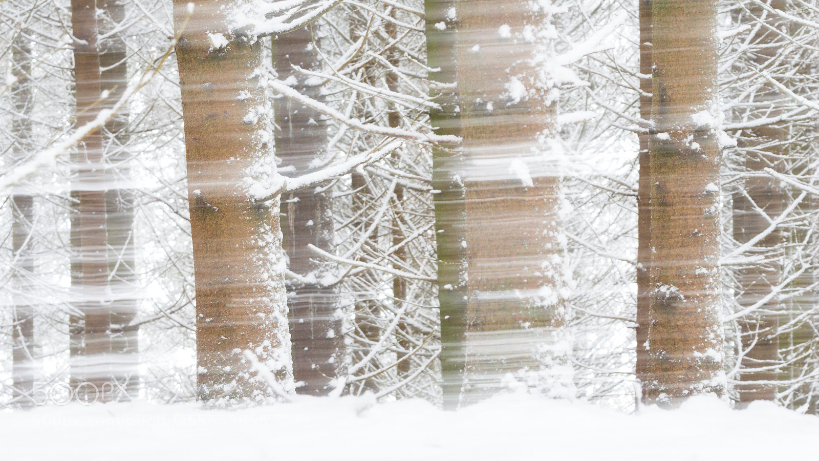 Canon EOS 700D (EOS Rebel T5i / EOS Kiss X7i) sample photo. Winterstorm without storm photography