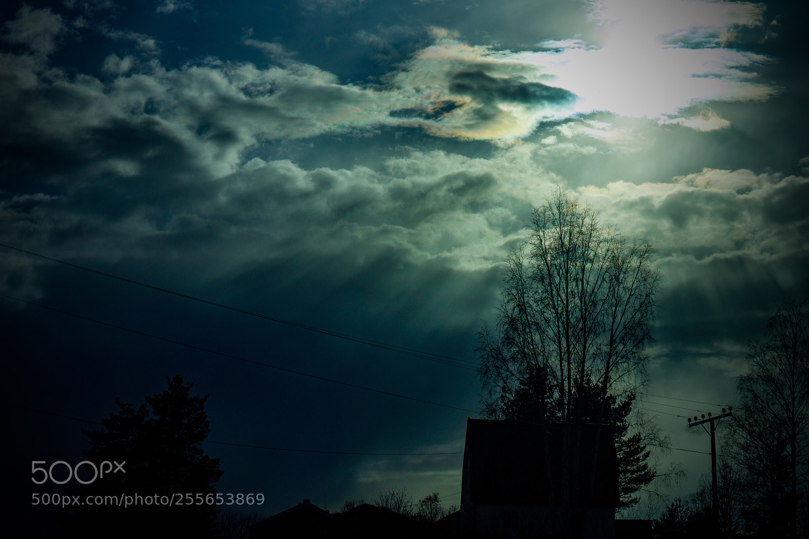 Sony SLT-A77 sample photo. Rays photography