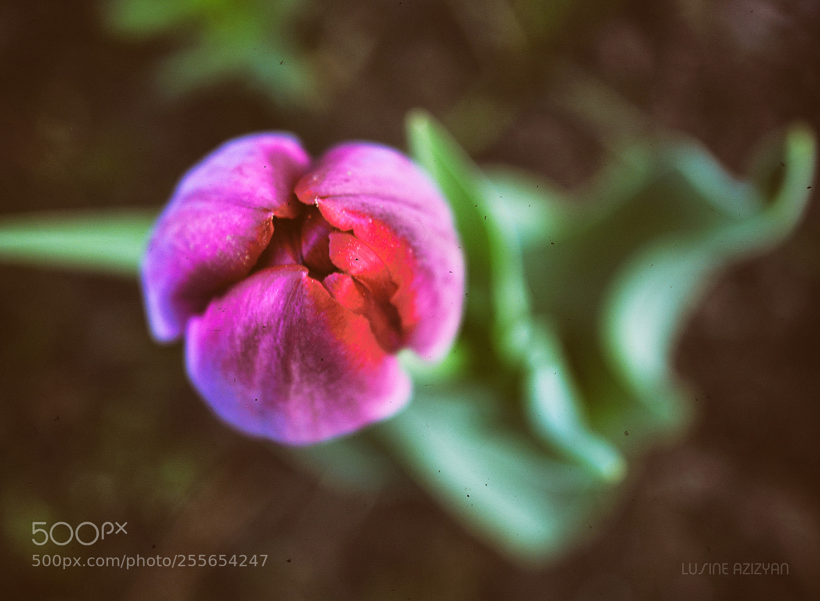 Nikon D5200 sample photo. Untitled photography