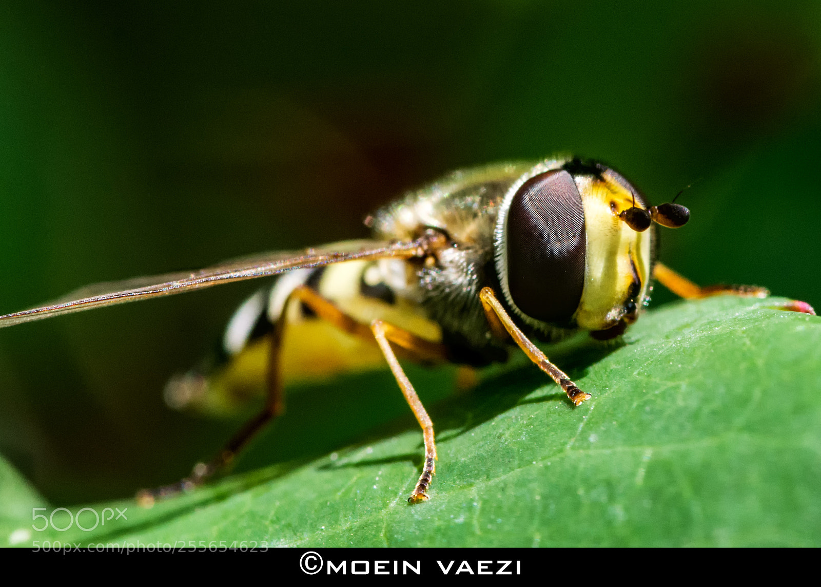 Nikon D7100 sample photo. Untitled photography