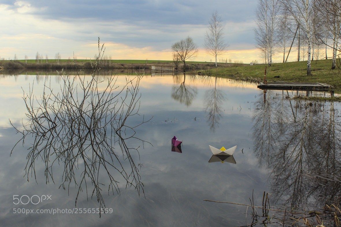 Canon EOS 600D (Rebel EOS T3i / EOS Kiss X5) sample photo. Просыпается весна... photography