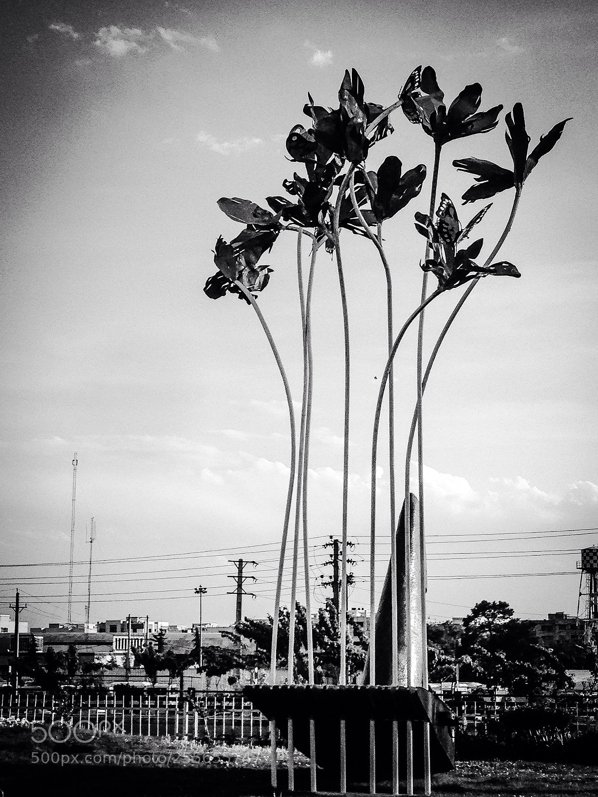 Apple iPhone 5 sample photo. Untitled photography