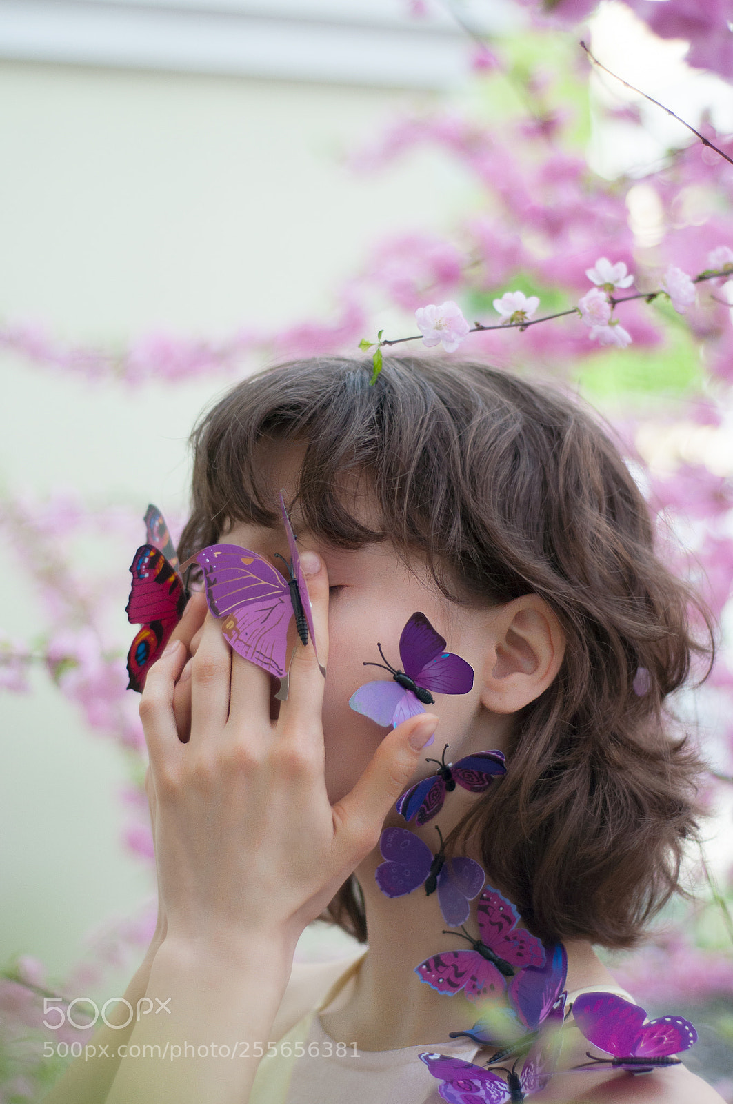 Nikon D90 sample photo. Butterflies photography