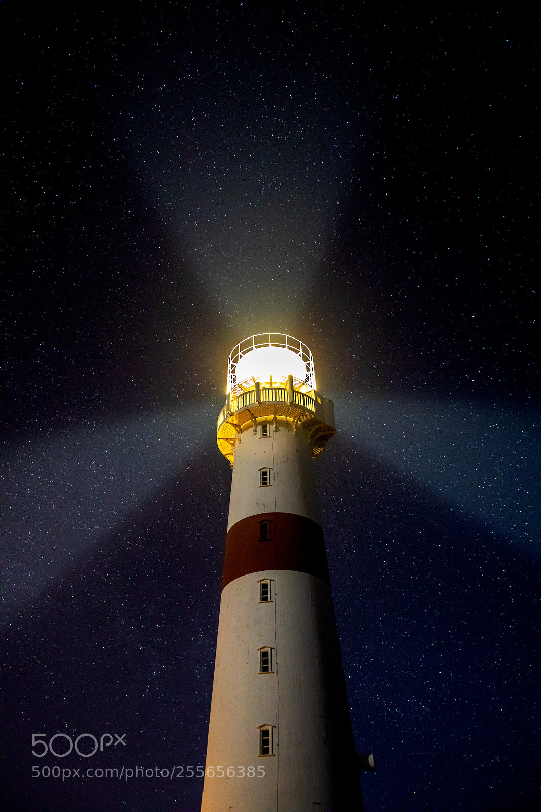 Canon EOS 5D Mark IV sample photo. Light under the stars photography
