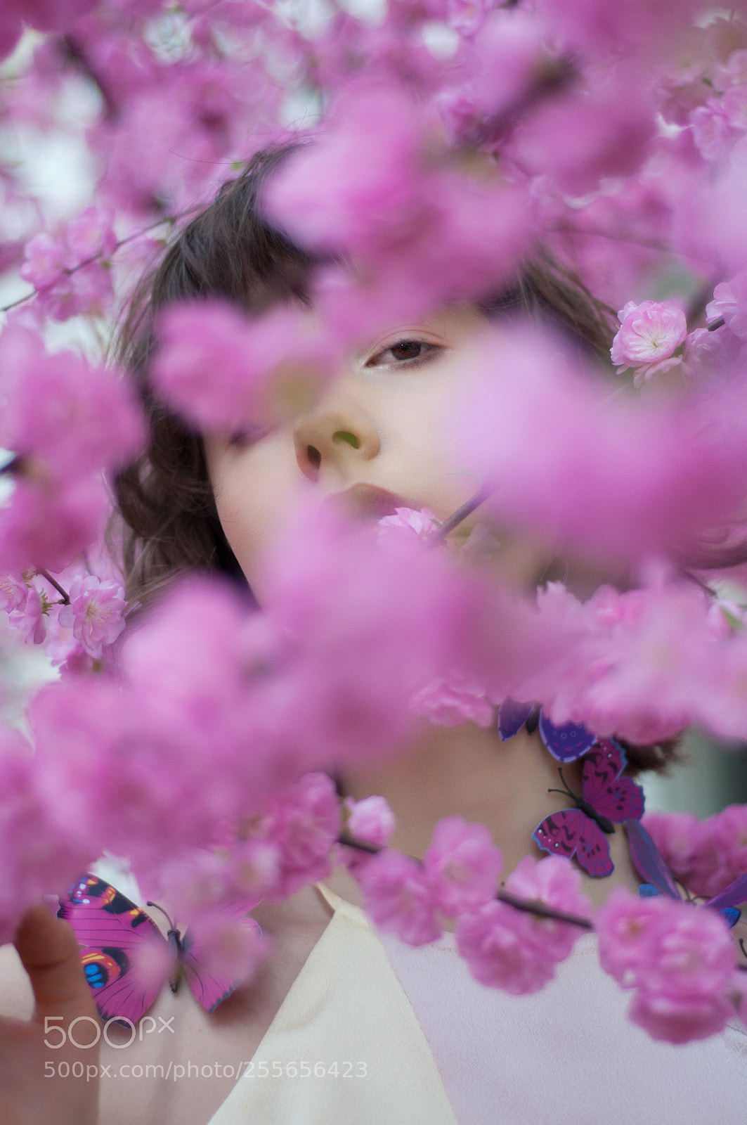 Nikon D90 sample photo. Butterflies photography