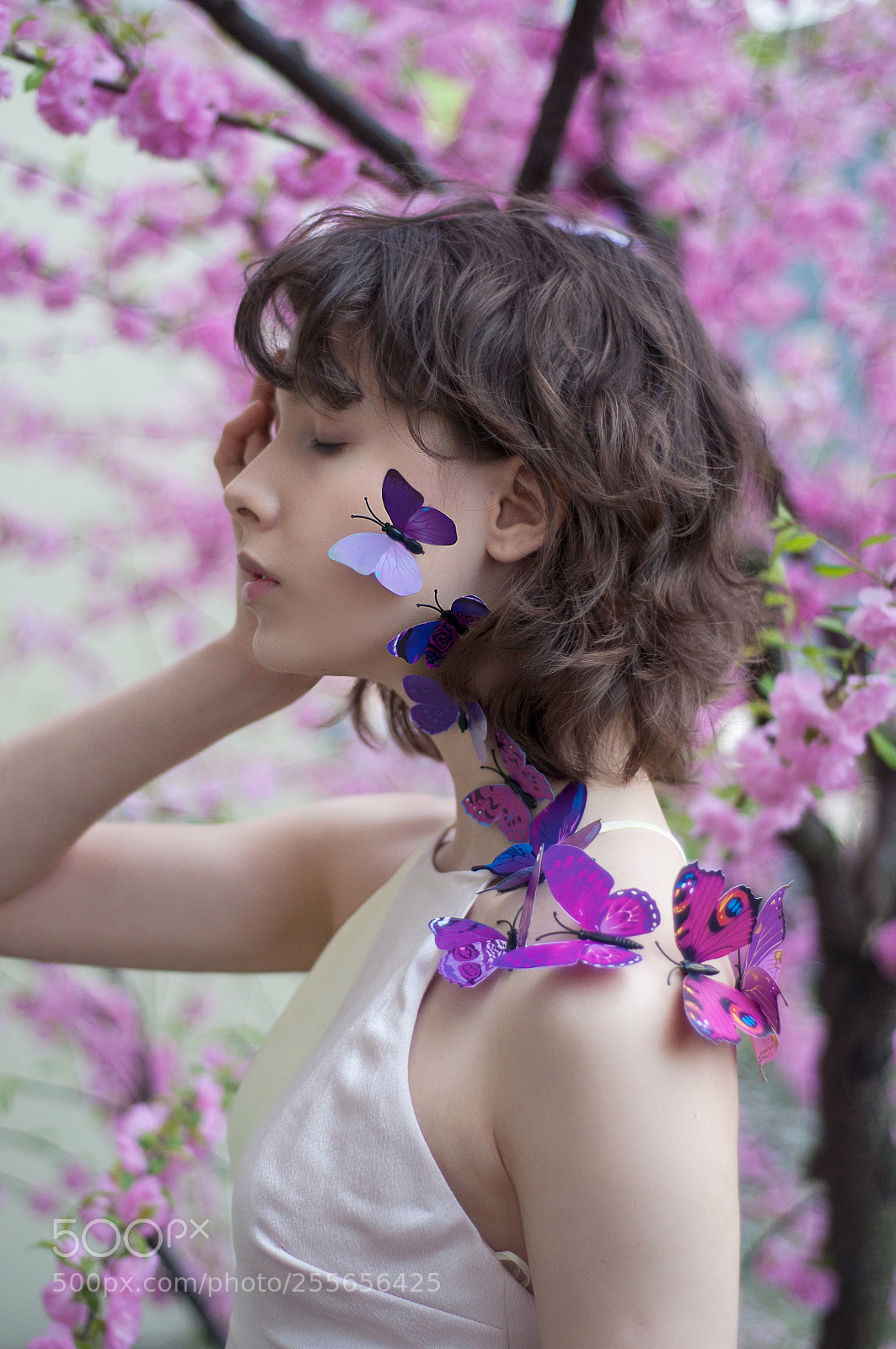 Nikon D90 sample photo. Butterflies photography