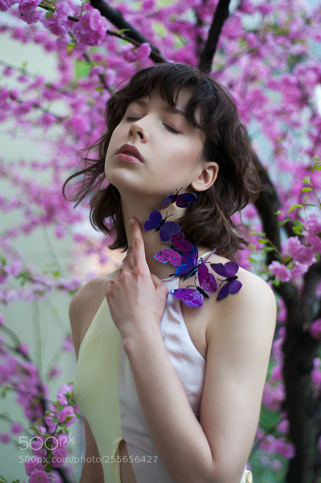 Nikon D90 sample photo. Butterflies photography