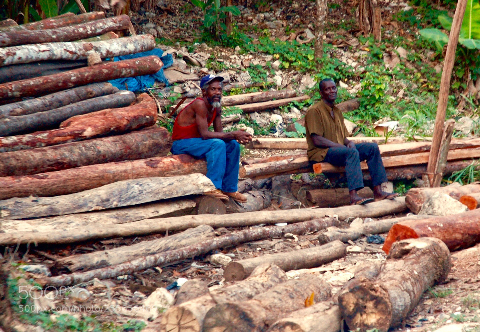 Nikon D50 sample photo. Loggers break photography