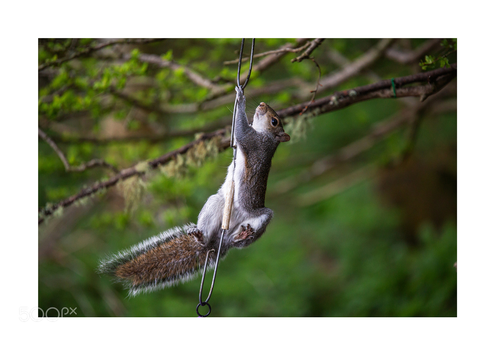 Canon EOS 6D sample photo. Hanging out photography