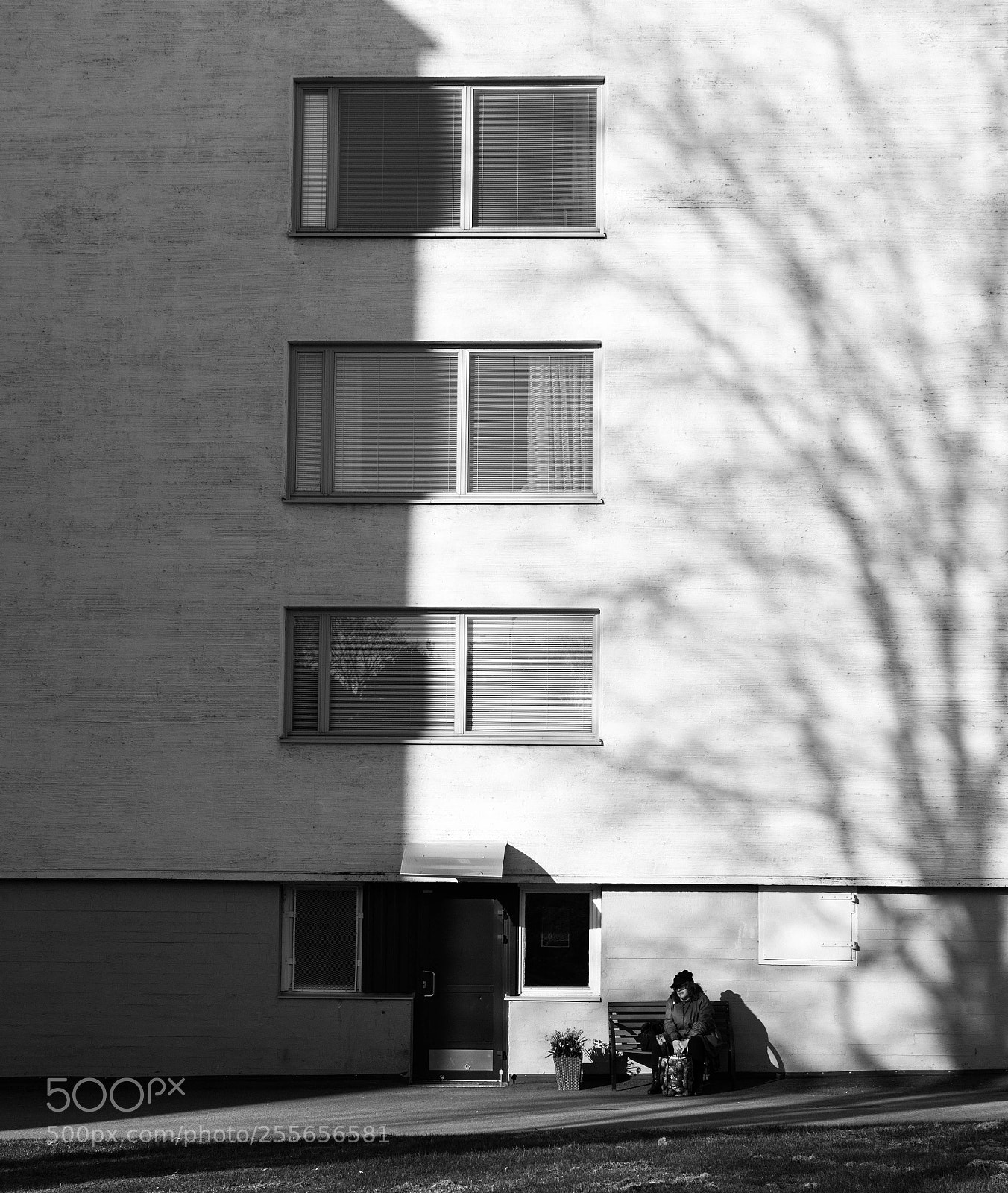 Nikon D3400 sample photo. Lonesome thoughts photography