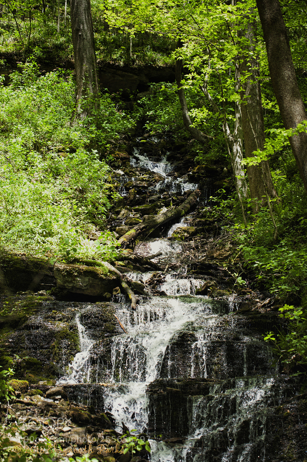 Canon EOS 5D Mark II sample photo. Cascade falls photography