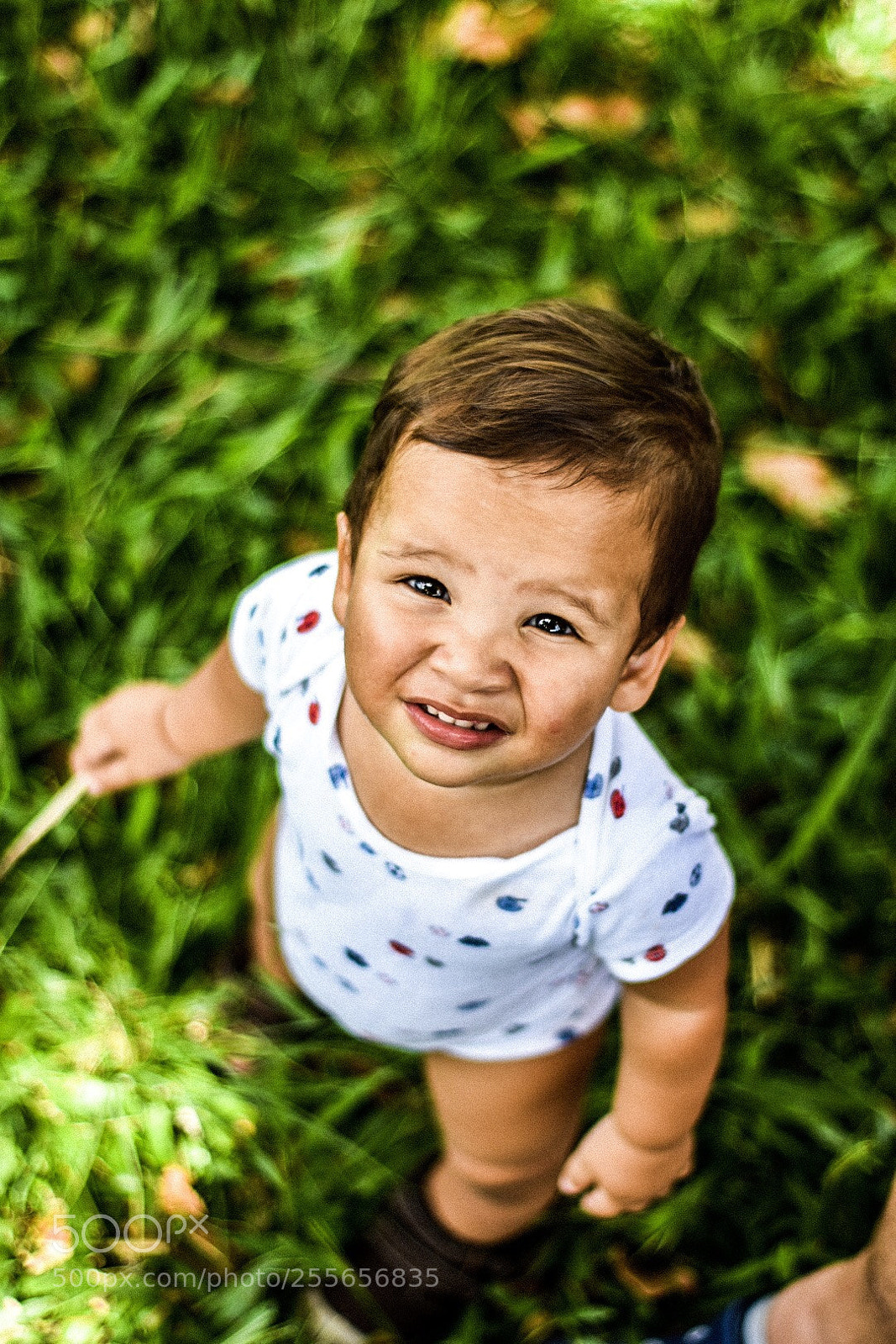 Nikon D3400 sample photo. Untitled photography