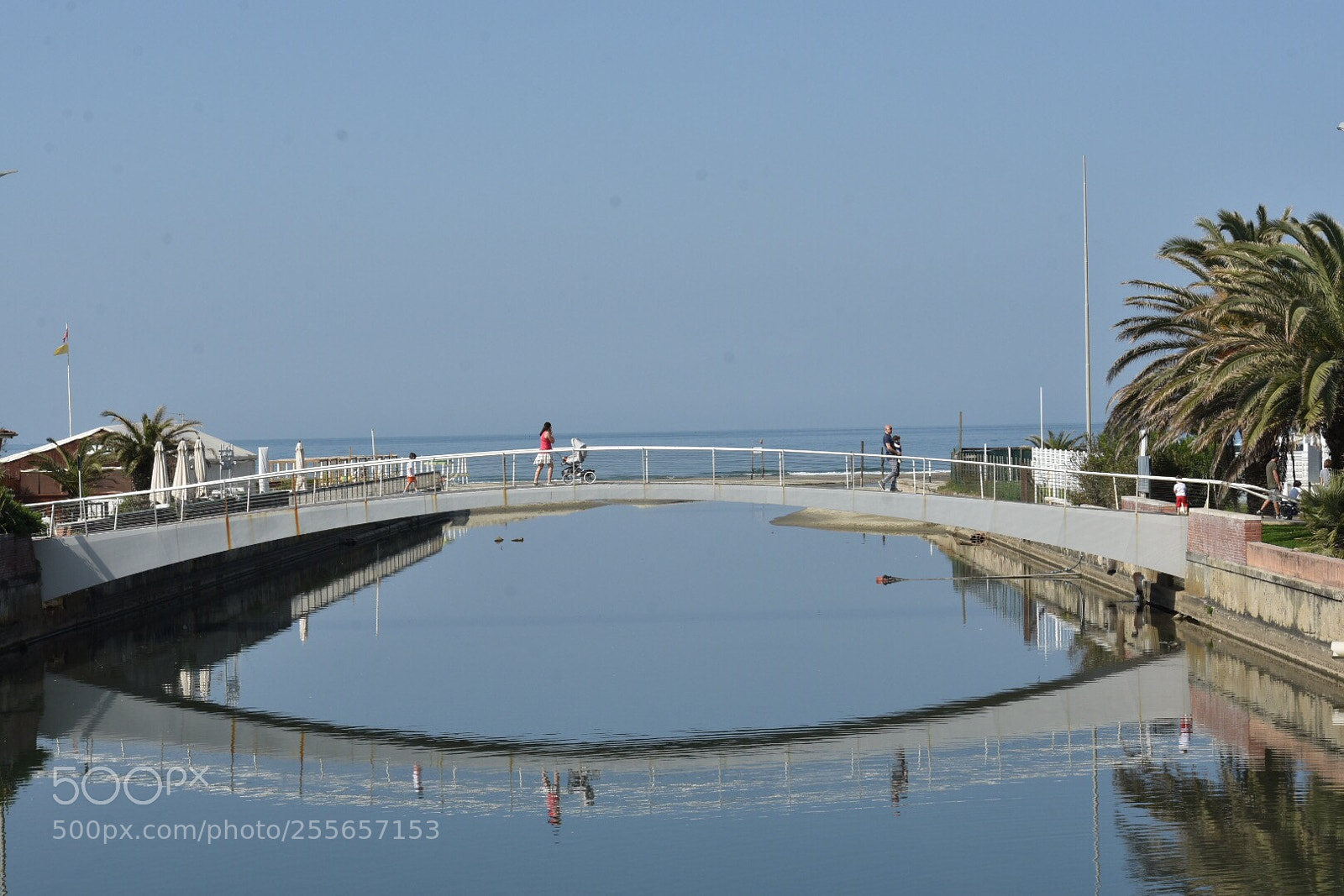 Nikon D7200 sample photo. Reflection  photography