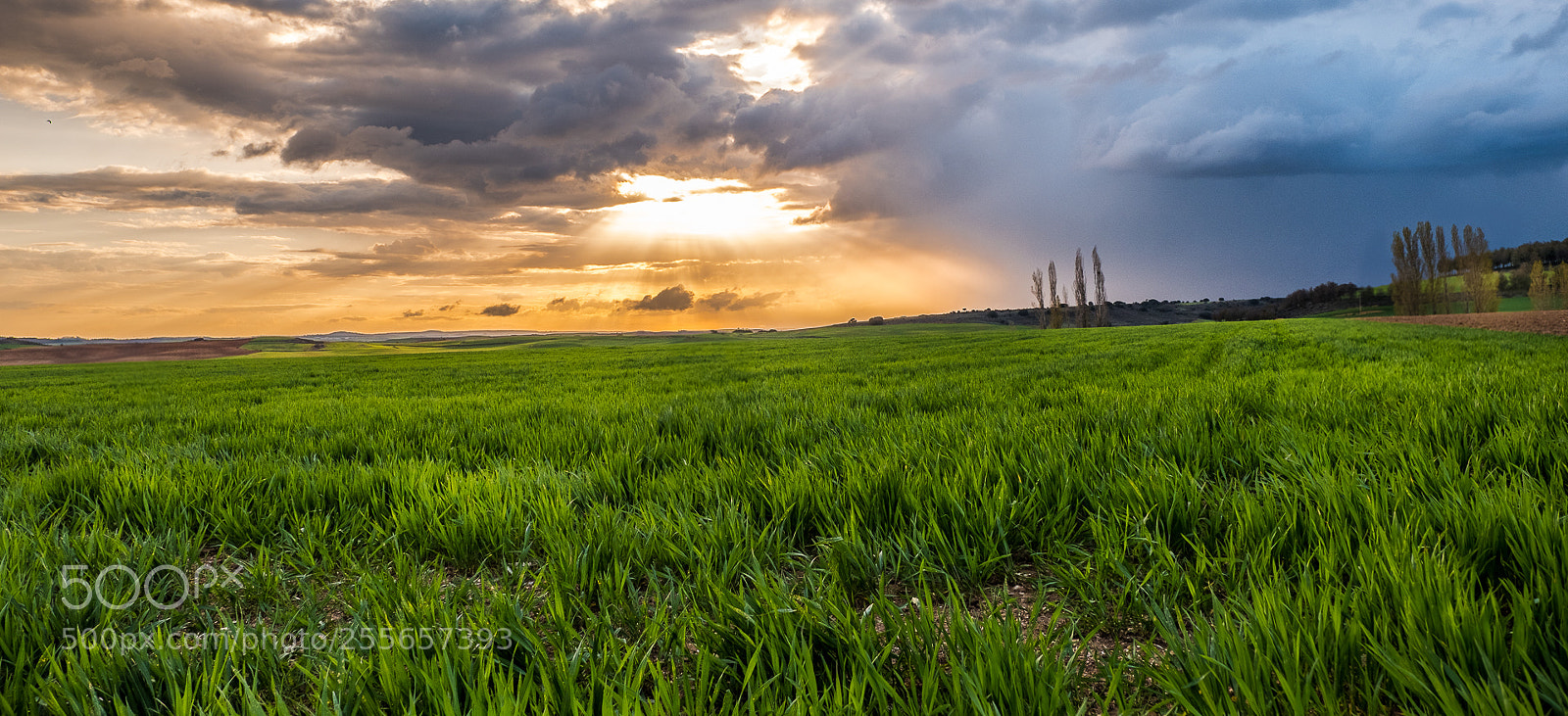 Fujifilm X-T2 sample photo. After the storm. photography