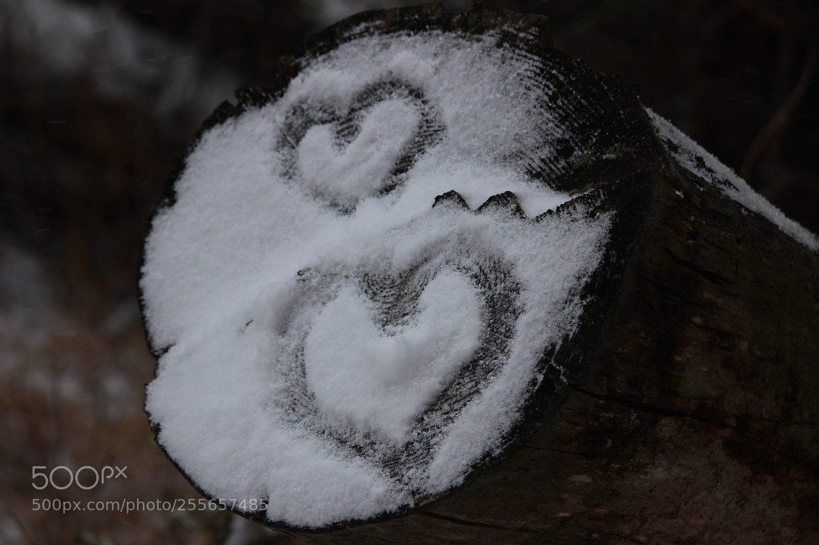 Canon EF-S 55-250mm F4-5.6 IS II sample photo. Img photography