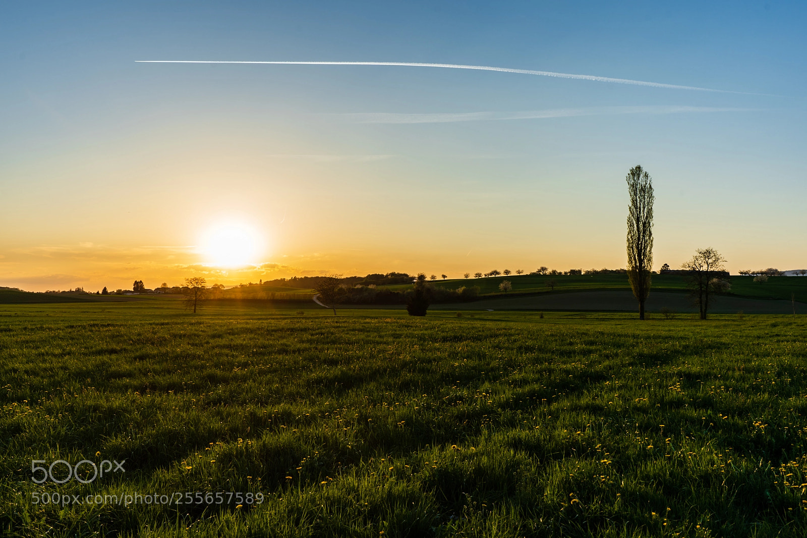 Sony a7 III sample photo. Spring evening photography